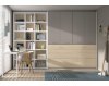 Cama abatible horizontal con librería y armario